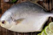 金鲳鱼有没有鱼鳞 金鲳鱼需不需要刮鳞
