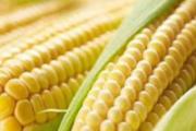 眼睛疲劳吃什么食物好