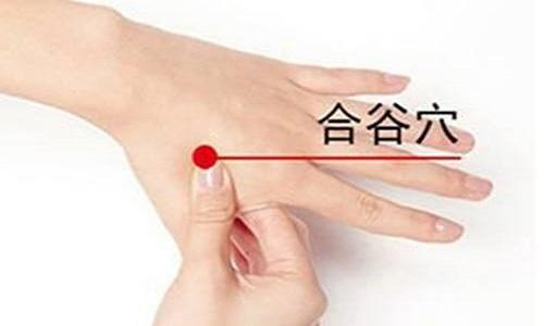 合谷穴位位置图,合谷穴的准确位置图,合谷穴怎么找,合谷穴在哪-乐哈