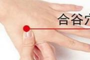 合谷的功效与作用