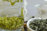 碧螺春属于什么茶