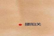 腰阳关在哪个位置图片 腰阳关是什么意思