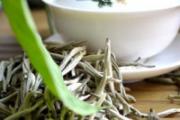白茶儿童能喝吗