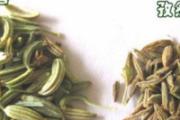 小茴香和孜然的区别