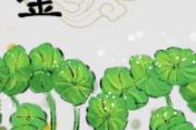 车前草与金钱草煎水喝的功效是什么 车前草与金钱草伤肾吗