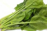 春季养肝吃什么食物 这6种对肝脏好