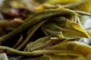 茶叶的妙用 她把用过的茶叶敷在眼睛上，第二天起床惊呆了
