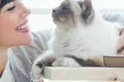 卵子从哪里排出形成月经 卵子没有受孕就会形成月经吗