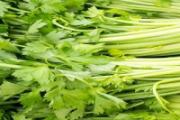 芹菜生吃可以吗 生吃芹菜对身体有哪些好处