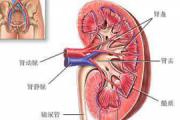 尿毒症是怎么引起的