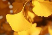 2018年秋老虎是几月 贵州秋老虎是几月