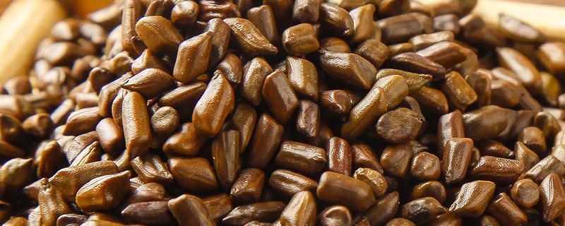 巨髎的定位和主治 巨髎的准确位置图片