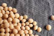 不熟的豆浆喝了会怎样 如何确定豆浆熟没熟