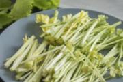 孕妇吃野芹菜可以吗 芹菜发苦能吃吗