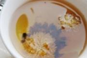 决明子菊花泡水