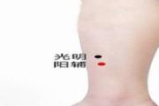 阳辅定位和主治 阳辅的准确位置图视频