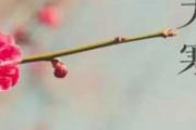 大寒节气是什么意思