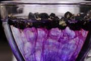 黑枸杞可以和玫瑰花一起泡水喝吗 黑枸杞与什么泡最合适