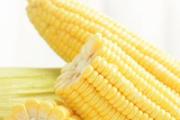 玉米水可以减肥吗 煮玉米的水有什么功效