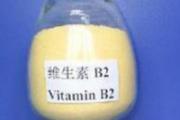 维生素B2的功效与作用 什么人需要补充维生素B2