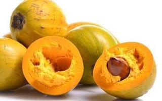 杀虫剂对孕妇有影响吗