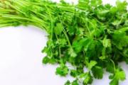 香菜不能与什么同食 男人吃香菜杀精吗