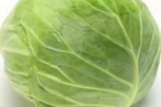 胃不好吃什么蔬菜好 这4种食物养胃