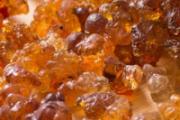 桃胶怎么快速泡开 桃胶用热水泡多久才好