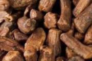 蒲公英根的药用价值和功效 蒲公英根可以泡水吗