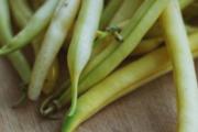 四季豆冰箱可以放多久 四季豆怎么保存最好