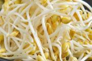 豆芽的热量高吗 100克豆芽多少根