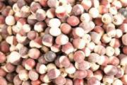 芡实需要提前泡水吗 芡实可以泡一夜吗
