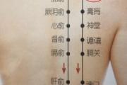 魄户的准确位置图片 魄户的作用