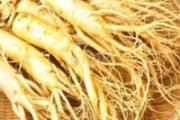 怎么食用新鲜人参 鲜参药膳食用方法