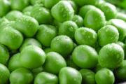 豌豆可以生吃吗 豌豆可以打成豆浆吗