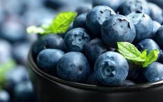 蓝莓可以放几天,冰箱里的食物可以放多久