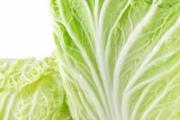 白菜可以放多少天 大白菜放一个月能吃吗