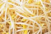 豆芽汤的功效与作用