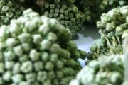 三七花泡水的正确方法 三七花泡水后花能吃吗