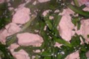 韭菜炖豆腐