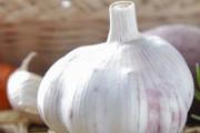 冻了的大蒜还可以吃吗 吃了大蒜胃难受怎么办