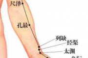 肺经在哪里
