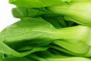 怎样挑选油菜 油菜如何保存