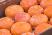 冻柿子不能和什么食物一起吃 冻柿子要熟了才能冻么