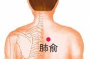 高血脂拔罐位置示意图 高血脂拔罐疗法