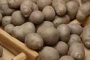 吃山药豆有什么好处 真的比山药还补吗