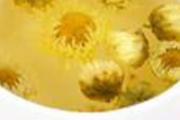 菊花茶哺乳期能喝吗