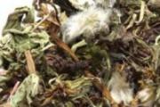 蒲公英的食用方法