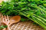 香菜可以直接放冰箱冷藏吗 香菜怎么保存