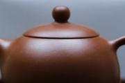 八角茶有什么功效 喝八角茶有哪些好处